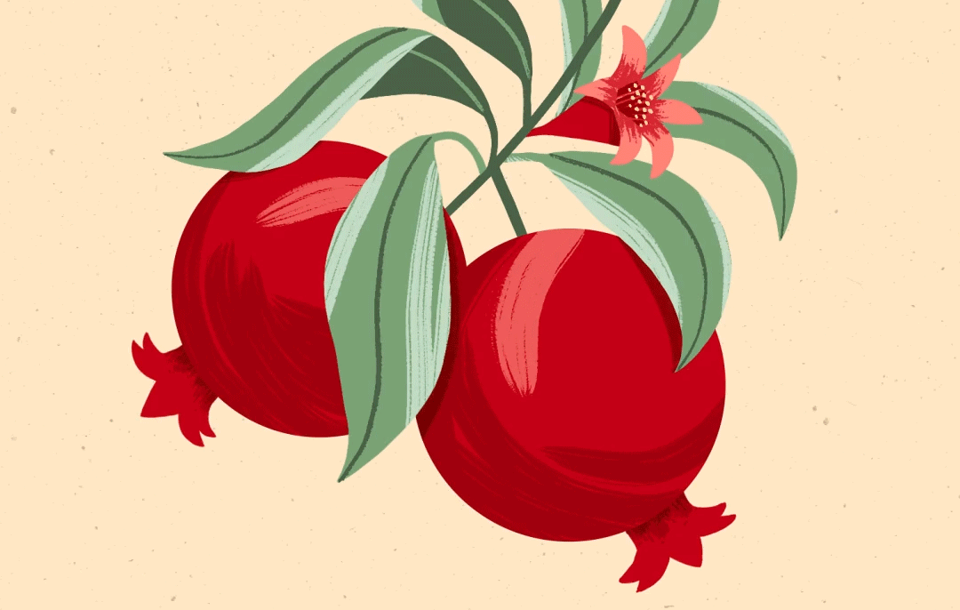 Illustration Animation